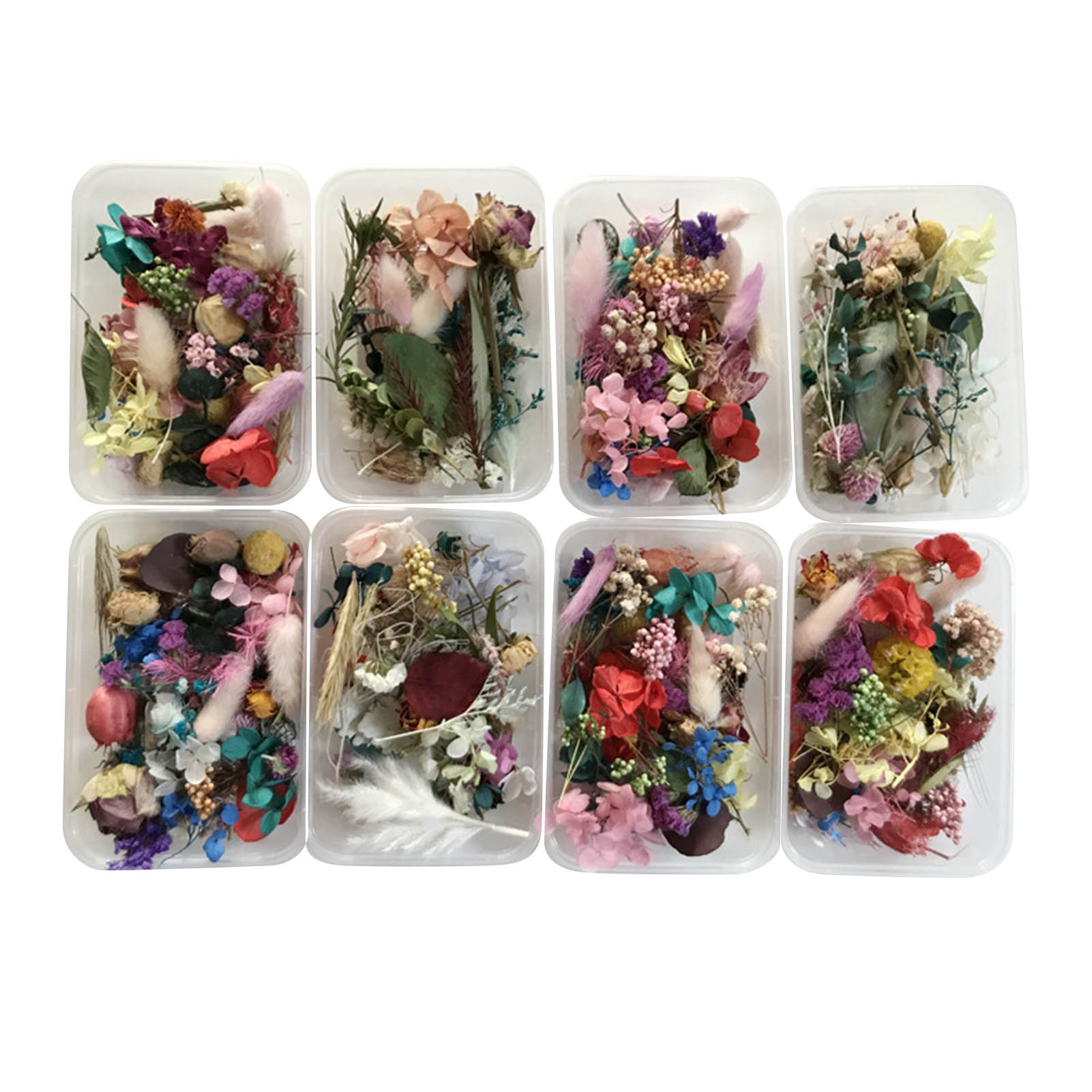 Natürliches getrocknetes Blume – Dried Herbs Bewertung und Preis