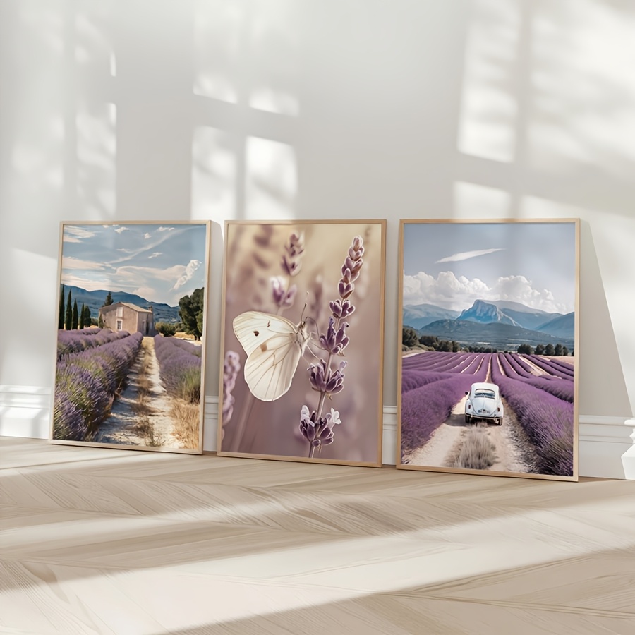 Lavendel Provence 3-teiliges L – Lavender Oil Bewertung und Preis