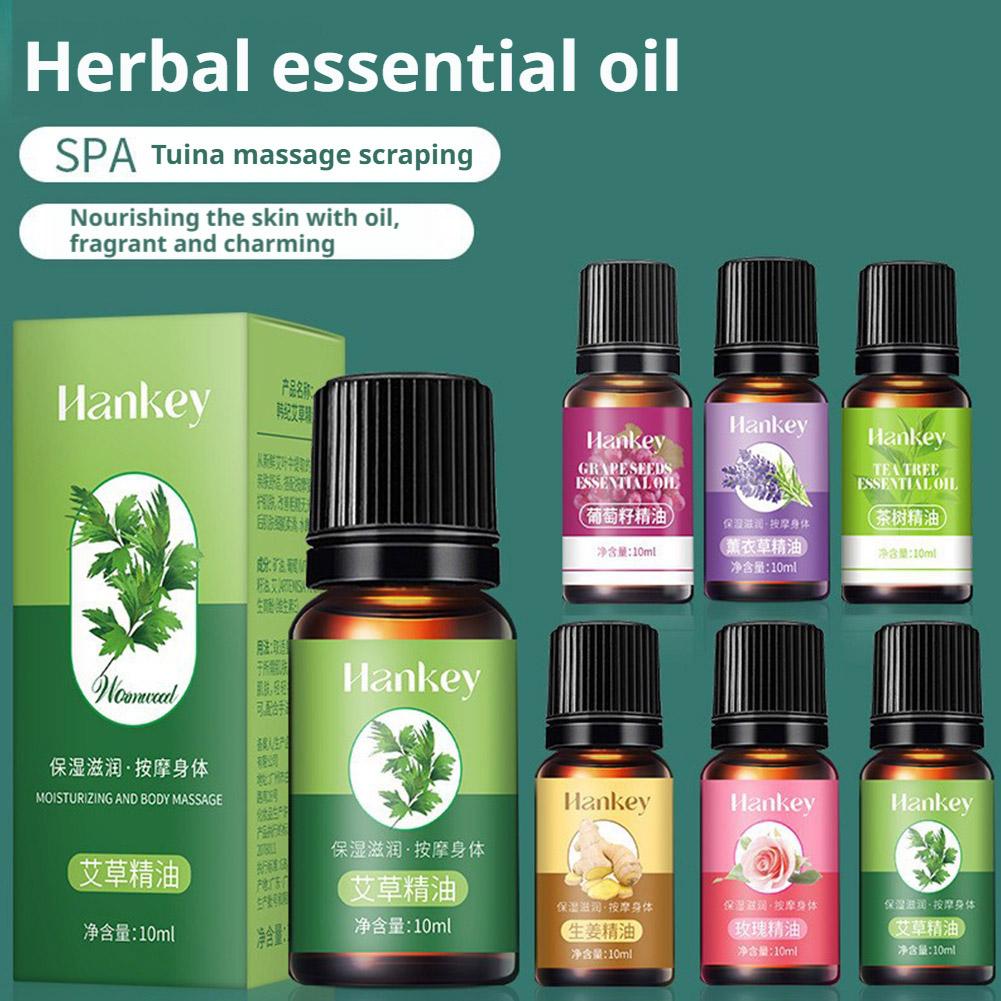 10ml Traubenkern-, Beifuß-, La – Lavender Oil Bewertung und Preis