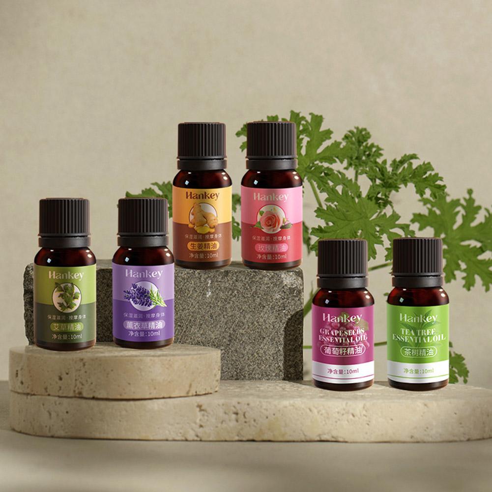 10ml Traubenkern-, Beifuß-, La – Lavender Oil Bewertung und Preis