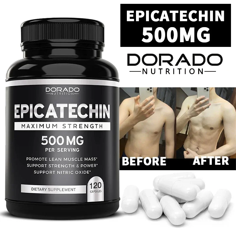 Epicatechin-Extrakt-Ergänzungs – Herbal Supplement Bewertung und Preis