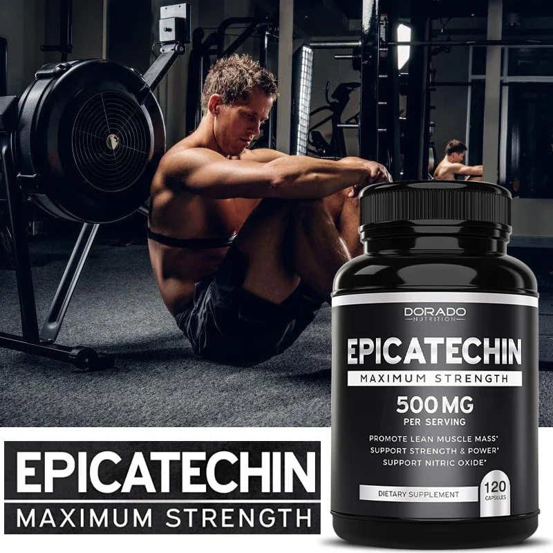 Epicatechin-Extrakt-Ergänzungs – Herbal Supplement Bewertung und Preis
